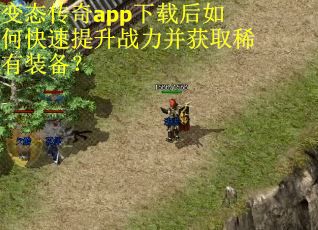 变态传奇app下载后如何快速提升战力并获取稀有装备？