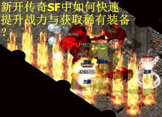 新开传奇SF中如何快速提升战力与获取稀有装备？