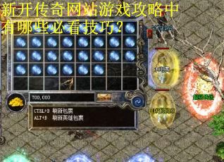 新开传奇网站游戏攻略中有哪些必看技巧？
