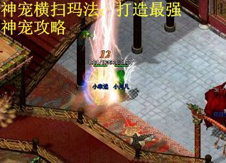 神宠横扫玛法：打造最强神宠攻略