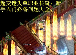 超变迷失单职业传奇：新手入门必备问题大全