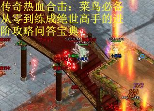 传奇热血合击：菜鸟必备从零到练成绝世高手的进阶攻略问答宝典