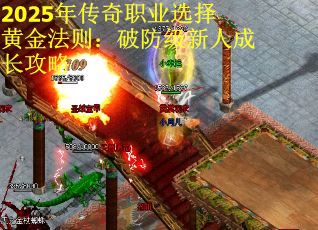 2025年传奇职业选择黄金法则：破防级新人成长攻略