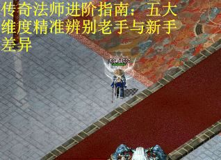 传奇法师进阶指南：五大维度精准辨别老手与新手差异