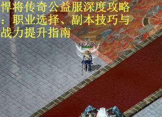 悍将传奇公益服深度攻略：职业选择、副本技巧与战力提升指南