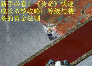 新手必看！《传奇》快速成长双核攻略：等级与装备的黄金法则