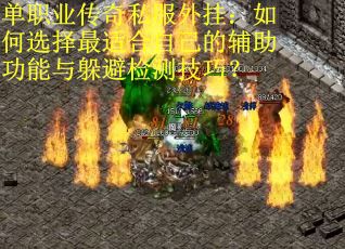 单职业传奇私服外挂：如何选择最适合自己的辅助功能与躲避检测技巧？