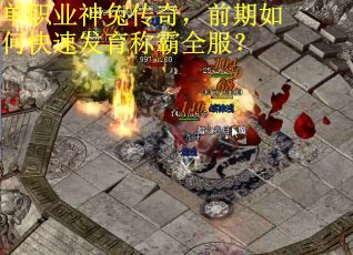 单职业神兔传奇，前期如何快速发育称霸全服？