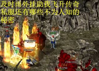 及时雨外挂助我飞升传奇私服还有哪些不为人知的秘密 及时雨外挂助我飞升传奇私服还有哪些不为人知的秘密