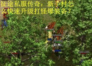 征途私服传奇：新手村怎么快速升级打怪爆装备？