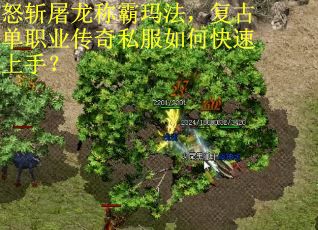 怒斩屠龙称霸玛法，复古单职业传奇私服如何快速上手？