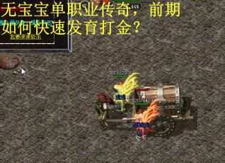 无宝宝单职业传奇,前期如何快速发育打金? 无宝宝单职业传奇,前期如何快速发育打金?