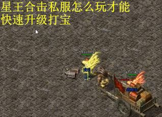 星王合击私服怎么玩才能快速升级打宝