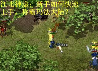 江北神途：新手如何快速上手，称霸玛法大陆？