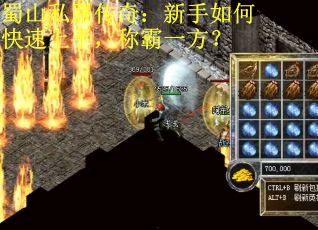 蜀山私服传奇：新手如何快速上手，称霸一方？