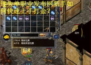 迷失单职业发布网新手如何快速上手打金? 迷失单职业发布网新手如何快速上手打金?