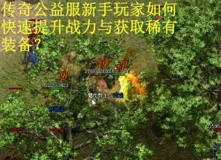 传奇公益服新手玩家如何快速提升战力与获取稀有装备?