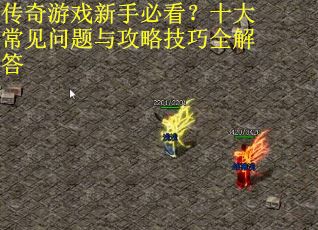 传奇游戏新手必看？十大常见问题与攻略技巧全解答