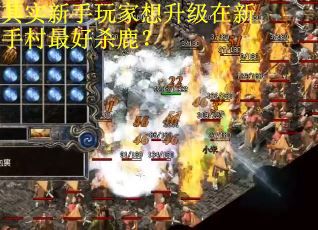 其实新手玩家想升级在新手村最好杀鹿？