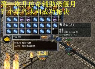 第一次升传奇辅助级偃月？小菜鸟求问成功秘诀