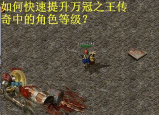 如何快速提升万冠之王传奇中的角色等级？