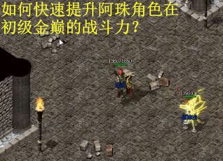 如何快速提升阿珠角色在初级金巅的战斗力？
